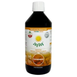 Joy Day, Eko koncentrat napoju probiotycznego, topinambur, 500 ml