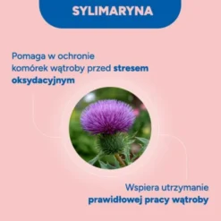 Lacium 50+, kapsułki twarde, 30 szt.