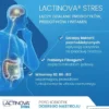 Lactinova stres, kapsułki, 28 szt.
