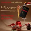 LivAntro, kapsułki, 60 szt.