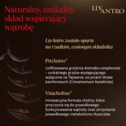 LivAntro, kapsułki, 60 szt.