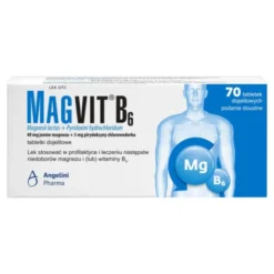 Magvit B6, tabletki dojelitowe, 70 szt.