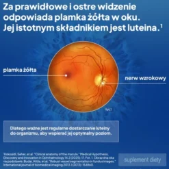 Maxiluten, tabletki, 30 szt.