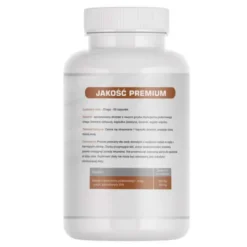 Medfuture Chaga, ekstrakt 500 mg, kapsułki, 60 szt.