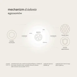 Mokosh, multikorygujące serum do twarzy z egzosomami, Róża z jagodą, 30 ml