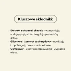 Mydlarnia 4 szpaki, Szampon oczyszczający Chrzanowy, 300 ml