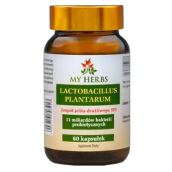 My Herbs Lactobacillus Plantarum, kapsułki, 60 szt.