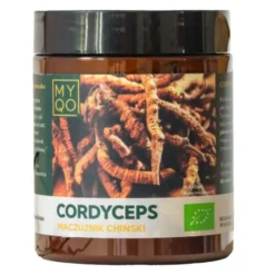 MYQO BIO Cordyceps sinensis Maczużnik chiński, proszek, 100 g