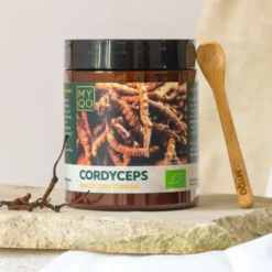 MYQO BIO Cordyceps sinensis Maczużnik chiński, proszek, 100 g