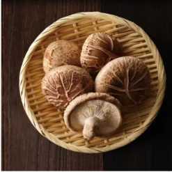 MYQO BIO Shiitake Twardnik japoński, proszek, 100 g