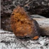 MYQO Chaga Błyskoporek podkorowy, kapsułki, 90 szt.