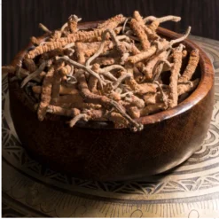 MYQO Cordyceps sinensis Maczużnik chiński, kapsułki, 90 szt.