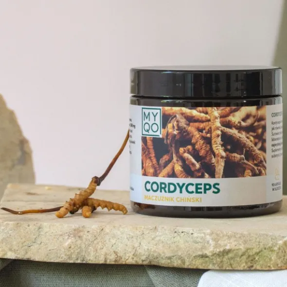 MYQO Cordyceps sinensis Maczużnik chiński, kapsułki, 90 szt.