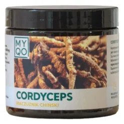 MYQO Cordyceps sinensis Maczużnik chiński, kapsułki, 90 szt.
