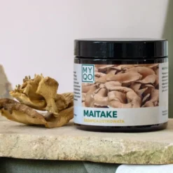MYQO Maitake - Żagwica listkowata, kapsułki, 90 szt.