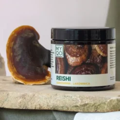 MYQO Reishi - Ganoderma lucidum - Lakownica lśniąca, kapsułki, 90 szt.