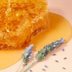Nuxe Reve de Miel, ultraodżywczy i regenerujący balsam do ust z miodem, 15 g
