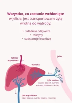 Omni Biotic Hetox, saszetki z proszkiem, 6 g x 30 szt.