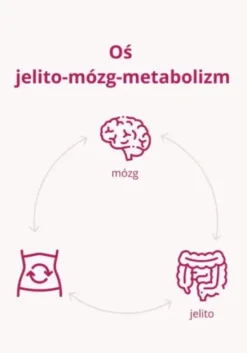 Omni Biotic Metabolic, saszetki z proszkiem, 3 g x 30 szt.