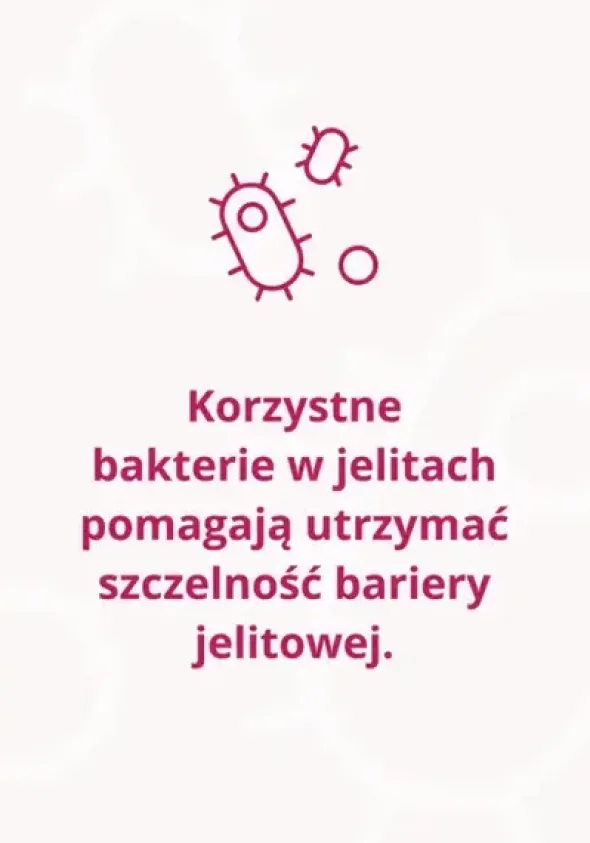 Omni Biotic METAtox, saszetki z proszkiem, 3 g x 30 szt.