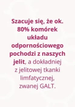 Omni Biotic 6, proszek, 60 g