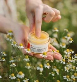 Opcja Natura, mazidło opatrunkowe z nagietkiem do skóry suchej i popękanej, 50 ml