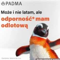Padma Basic, kapsułki, 100 szt.