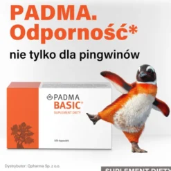 Padma Basic, kapsułki, 100 szt.