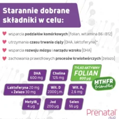 Prenatal Duo, II i III trymestr ciąży, kapsułki, 30 szt. Classic + 60 szt. DHA