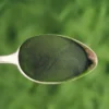 Proherbis Chlorella, proszek, 100 g