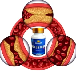 Proherbis Cholesterol Forte, kapsułki, 60 szt.
