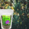 Proherbis Czystek plus trawa cytrynowa, herbata, susz, 50 g
