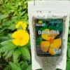 Proherbis Damiana liście, 50 g