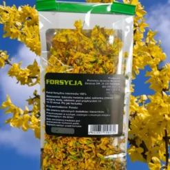 Proherbis Herbatka Forscycja Kwiat, suszone kwiaty, 10 g