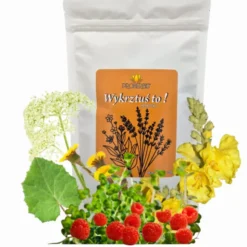 Proherbis Herbatka Wykrztuś To!, susz, 100 g