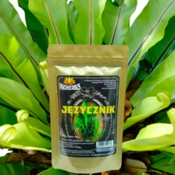 Proherbis Języcznik Mielony, proszek, 50 g