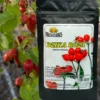 Proherbis Mielona skórka dzikiej róży, proszek, 100 g