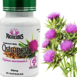 Proherbis Ostropest ekstrakt, 500 mg, kapsułki, 60 szt.
