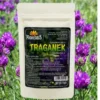 Proherbis Traganek, proszek, 50 g