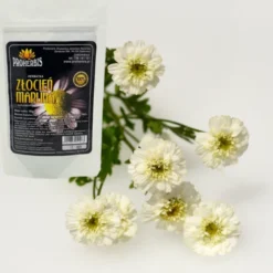 Proherbis Złocień maruna, proszek, 50 g