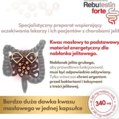 Rebutestin Forte, 340 mg maślanu sodu, kapsułki, 60 szt.