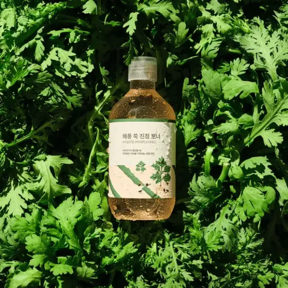 Round Lab Mugwort Calming Toner, tonik do twarzy z bylicą, 300 ml