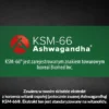 Salvitis Ashwagandha, kapsułki, 60 szt.