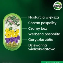 Sinulan Duo Forte, tabletki powlekane, 60 szt.