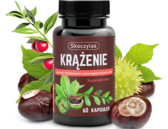 Skoczylas Krążenie, kapsułki, 60 szt.
