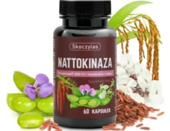 Skoczylas Nattokinaza Fermokinase 2000 FU + monakolina + rutyna, kapsułki, 60 szt.