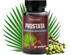 Skoczylas Prostata, kapsułki, 60 szt.