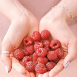 Sundose Everyday For Skin Anti-Aging Kwas Hialuronowy i Witamina C, saszetki z proszkiem, smak malinowo-cytrynowy, 15 szt.