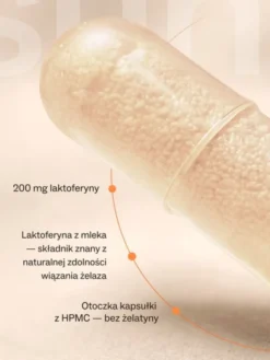 Sundose Laktoferyna, kapsułki twarde, 60 szt.