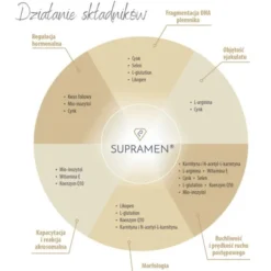 Supramen, kapsułki, 120 szt.